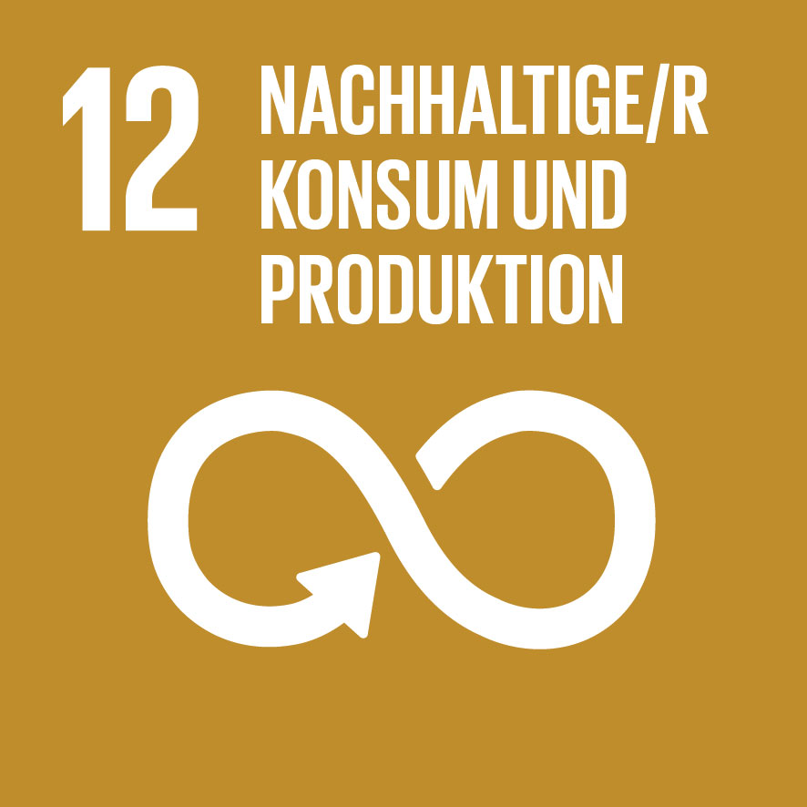 SDG 12: Nachhaltiger Konsum und nachhaltige Produktion