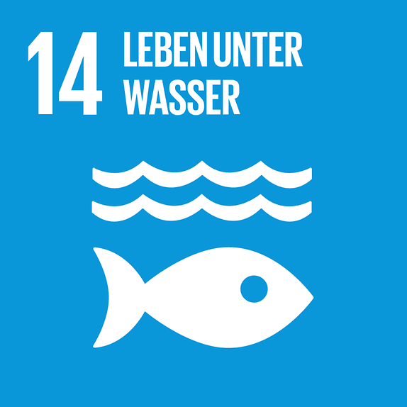 Im Fokus SDG 14 Leben unter Wasser: Auf Kurs für den Schutz der Meere